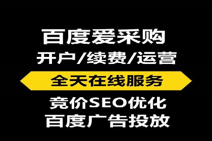 成功案例：SEM竞价代运营助力品牌崛起